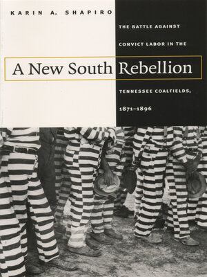 cover image of A New South Rebellion